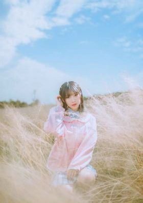 下载整个网站的软件_高清电影完整版